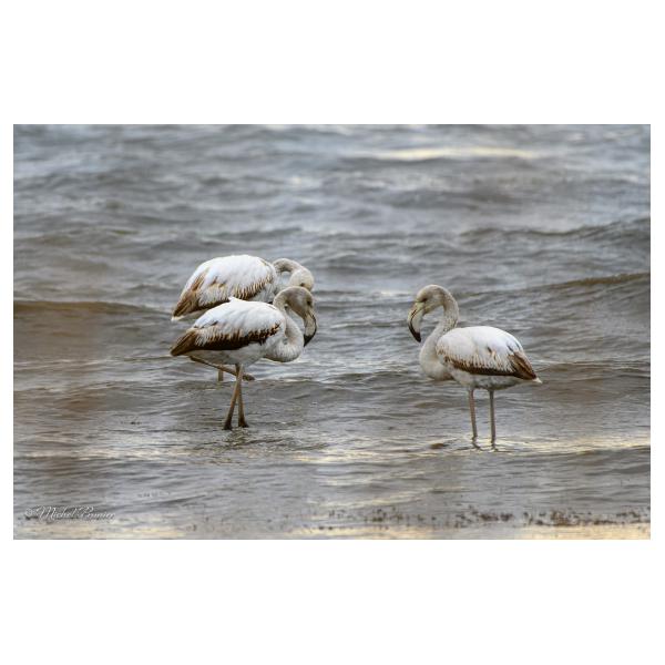 PHOTO84, CLUB, 84 , LUBERON